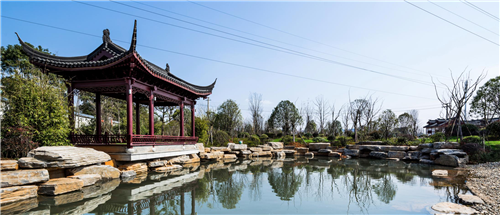 園冶杯專業(yè)獎：臨湘中心城區(qū)綠化改造工程