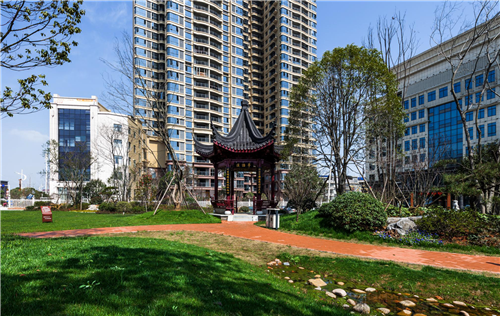 園冶杯專業(yè)獎：臨湘中心城區(qū)綠化改造工程