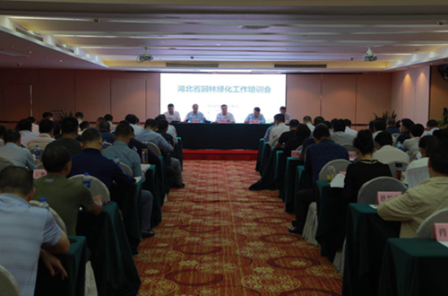 近百位園林負責人在漢集中學習