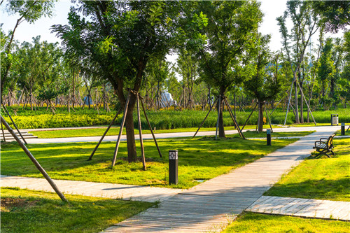 園冶杯專業(yè)獎：曾子廣場及洪山河景觀綠化