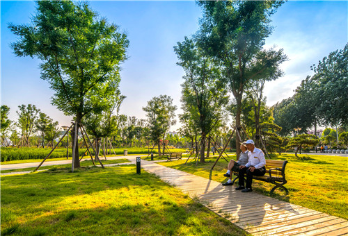 園冶杯專業(yè)獎：曾子廣場及洪山河景觀綠化
