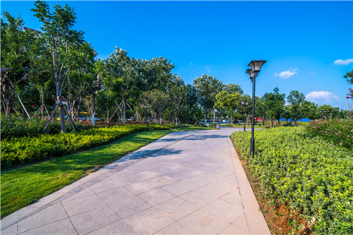 園冶杯專業(yè)獎：曾子廣場及洪山河景觀綠化