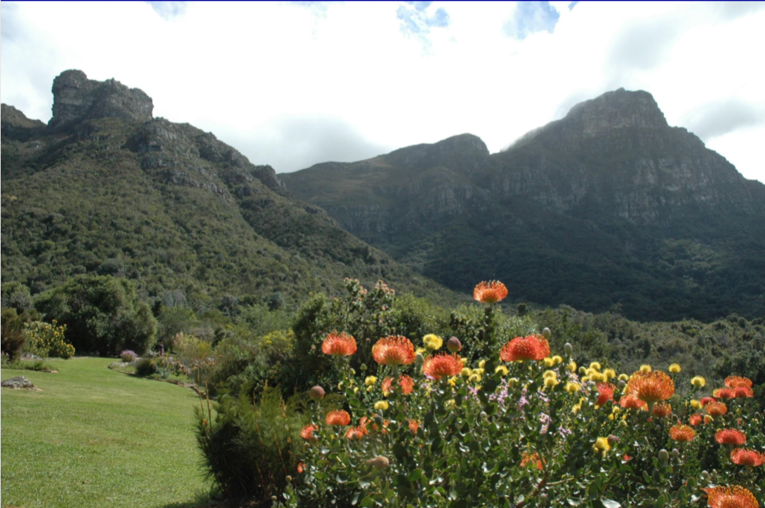 包滿珠：淺談城市建設與自然生態系統的關系