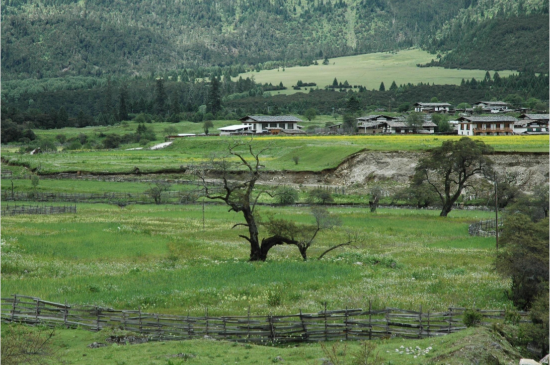 包滿珠：淺談城市建設與自然生態系統的關系