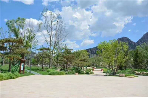 園冶杯專業獎:昌黎產業小鎮項目園林景觀