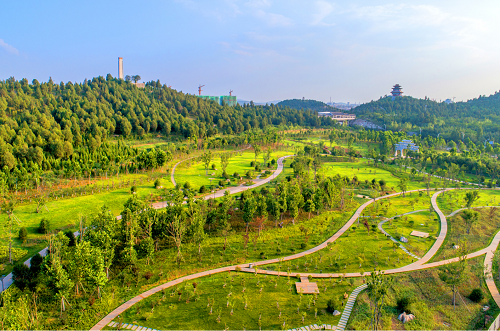 園冶杯專業(yè)獎：曾子廣場及洪山河景觀綠化