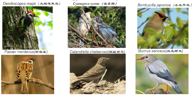 王文杰:哈爾濱城市森林研究看生態城市建設