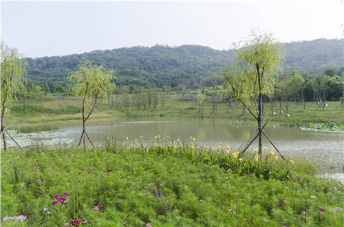 園冶杯專業(yè)獎:巢湖市烔長路景觀工程
