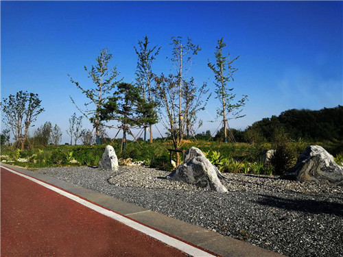 園冶杯專業(yè)獎:巢湖市烔長路景觀工程