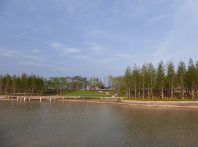 園冶杯專業獎:城市中軸線景觀綠化工程