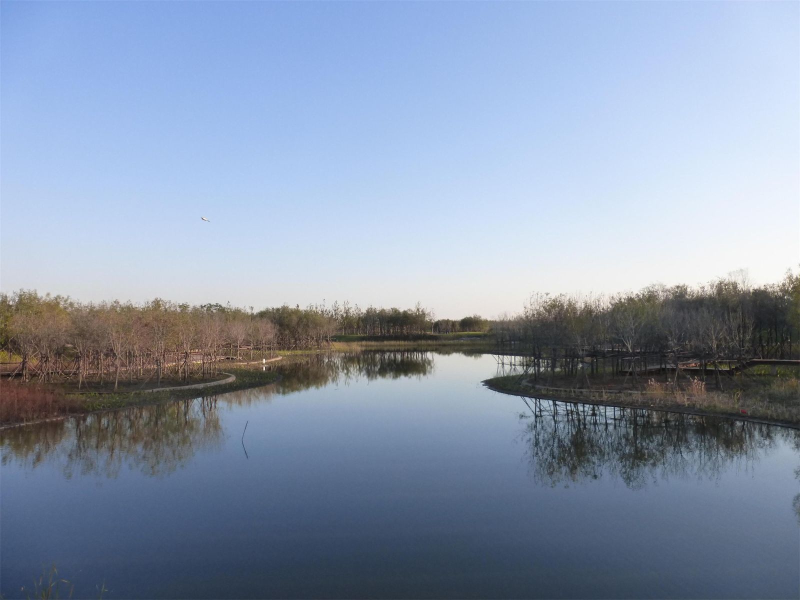 園冶杯專業獎:城市中軸線景觀綠化工程