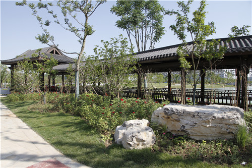 園冶杯專業獎：鳳陽縣新城區水系治理工程