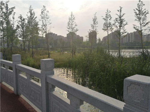 園冶杯專業獎:鳳陽縣新城區水系治理工程