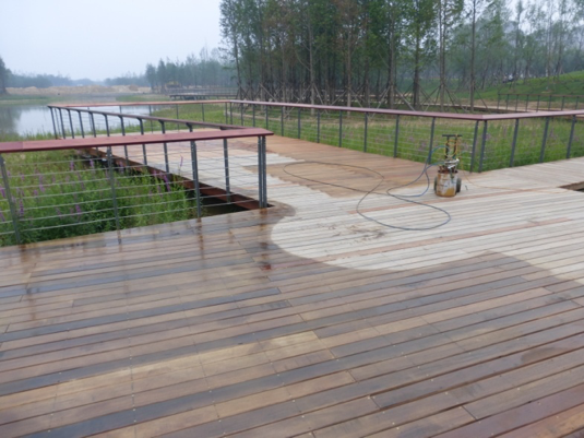 園冶杯專業獎:城市中軸線景觀綠化工程