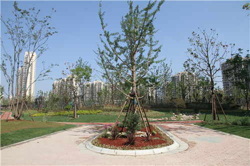 園冶杯專業獎：鳳陽縣新城區水系治理工程