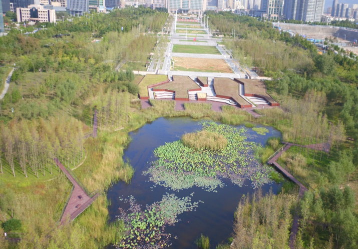 園冶杯專業獎:城市中軸線景觀綠化工程