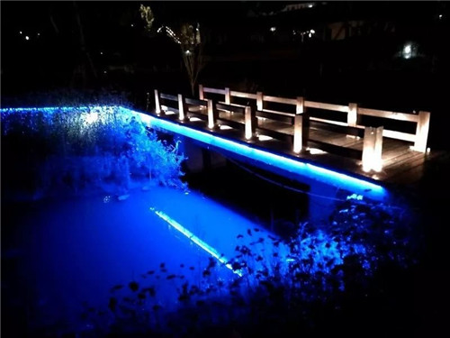 園冶杯專業獎:鳳陽縣新城區水系治理工程