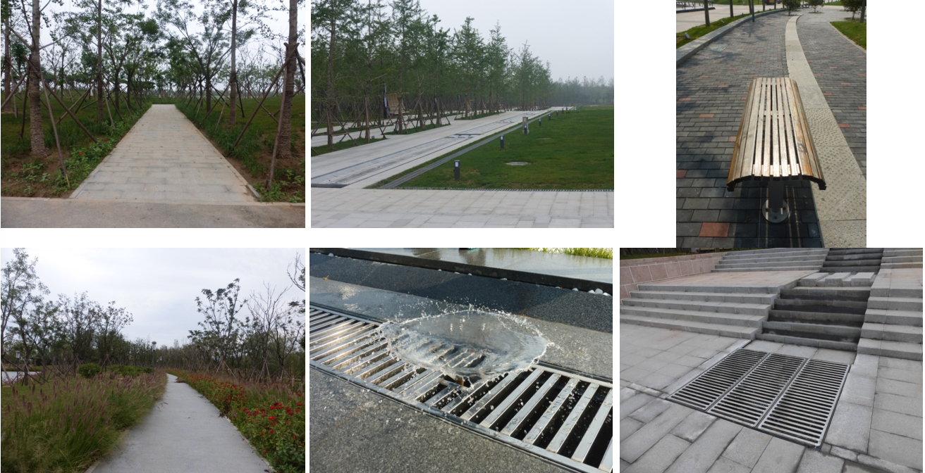 園冶杯專業獎:城市中軸線景觀綠化工程