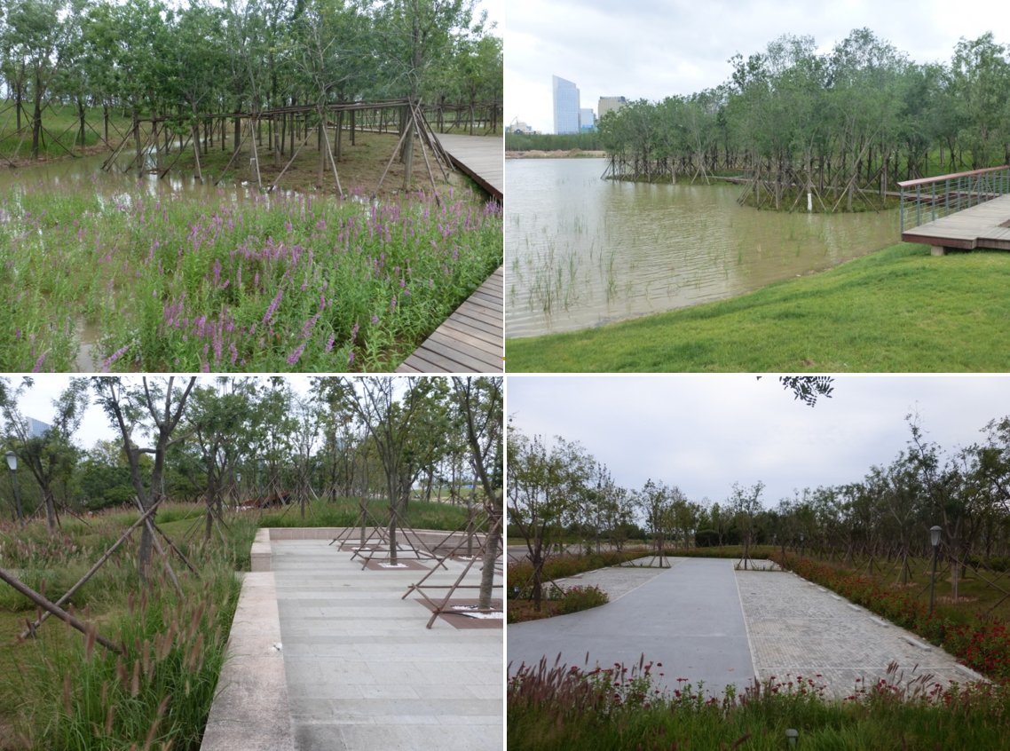 園冶杯專業獎:城市中軸線景觀綠化工程