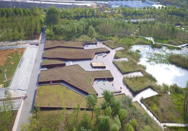 園冶杯專業獎:城市中軸線景觀綠化工程