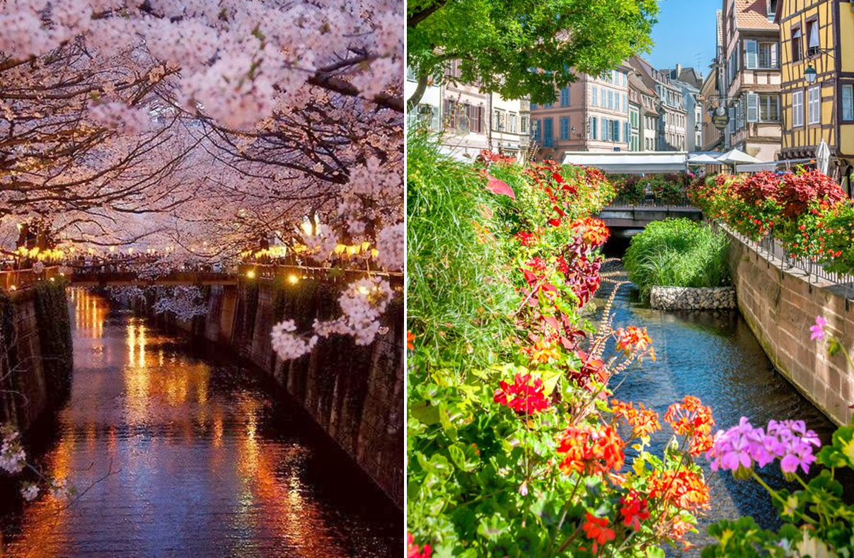 園冶杯專業(yè)獎(jiǎng)：北京格拉斯小鎮(zhèn)五期景觀工程設(shè)計(jì)