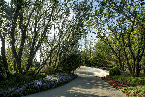園冶杯專業(yè)獎(jiǎng)：青島龍湖昱城體驗(yàn)區(qū)景觀設(shè)計(jì)