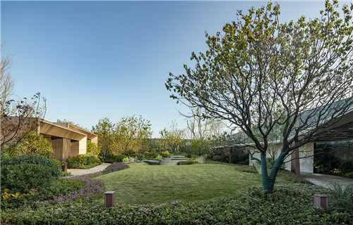 園冶杯專業(yè)獎(jiǎng)：青島龍湖昱城體驗(yàn)區(qū)景觀設(shè)計(jì)