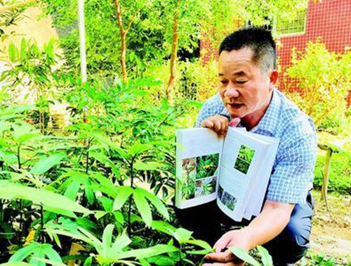中學(xué)教師找到20余種少見或無記錄珍稀植物