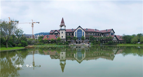 園冶杯專業獎：佛山里水保利紫山景觀設計