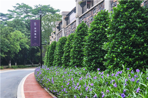 園冶杯專業獎：佛山里水保利紫山景觀設計