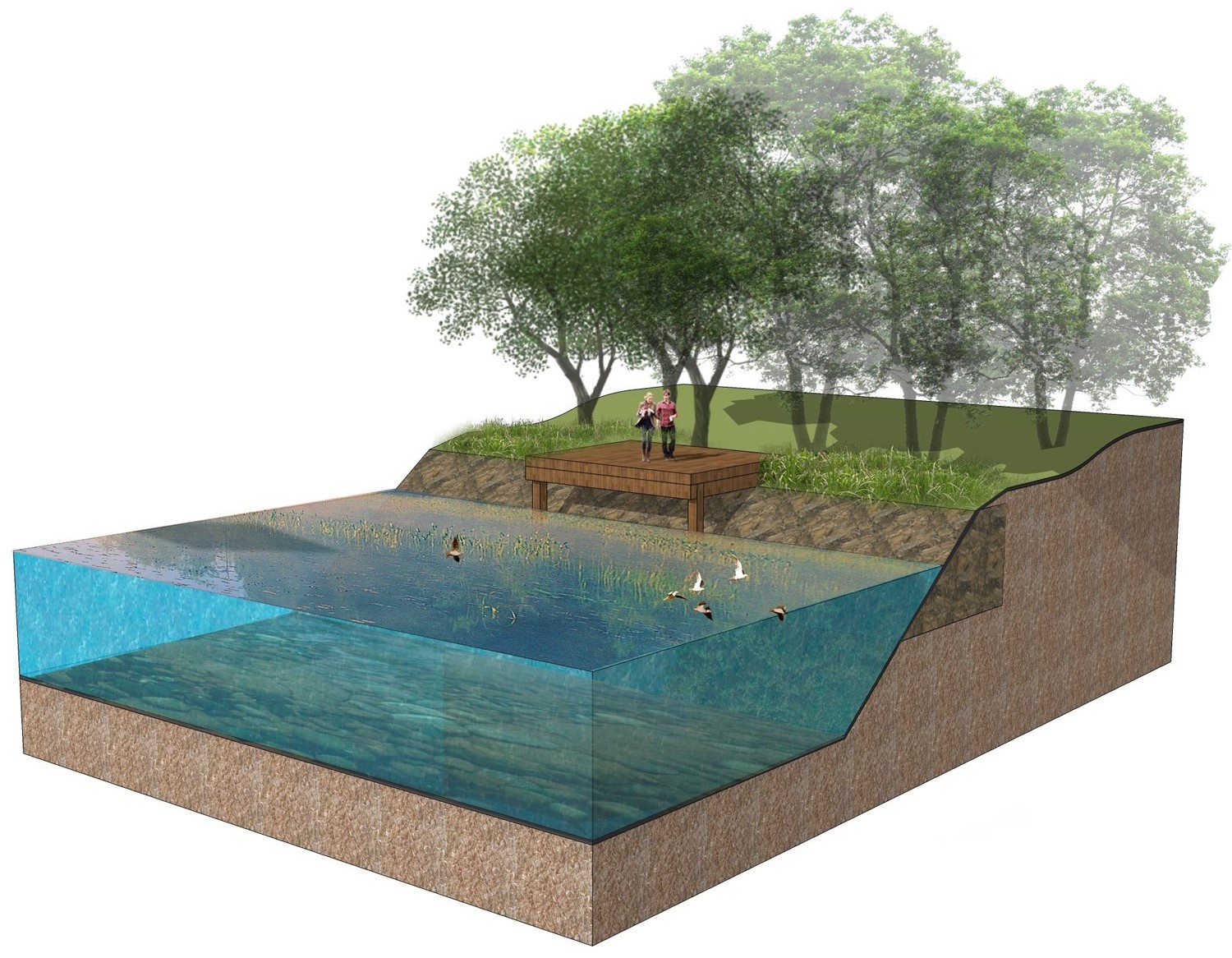 園冶杯專業(yè)獎(jiǎng):春花秋色(暫名)景觀工程