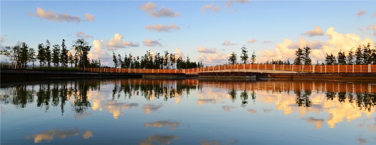 園冶杯專業(yè)獎(jiǎng):春花秋色(暫名)景觀工程