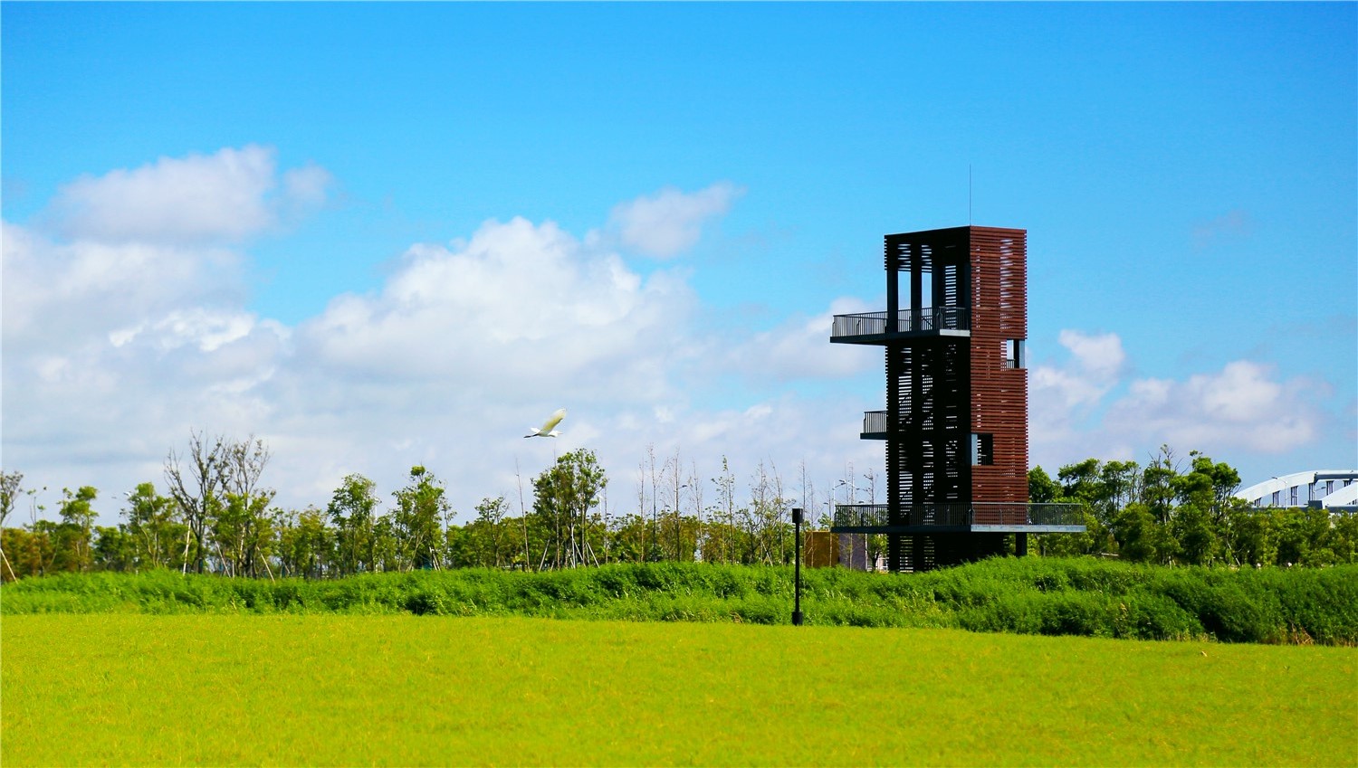 園冶杯專業(yè)獎(jiǎng):春花秋色(暫名)景觀工程