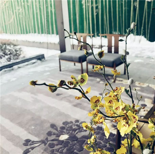 奧雅作品:園子里的揚(yáng)州