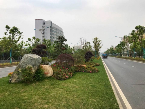園冶杯專業獎：廬陽工業區天水路、凌湖路綠化施工