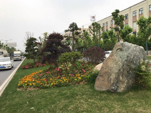 園冶杯專業獎：廬陽工業區天水路、凌湖路綠化施工