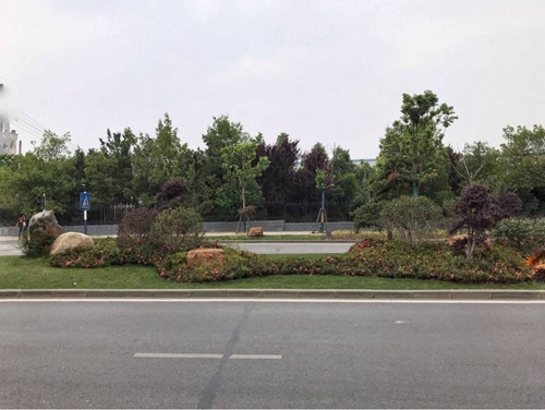 園冶杯專業獎：廬陽工業區天水路、凌湖路綠化施工