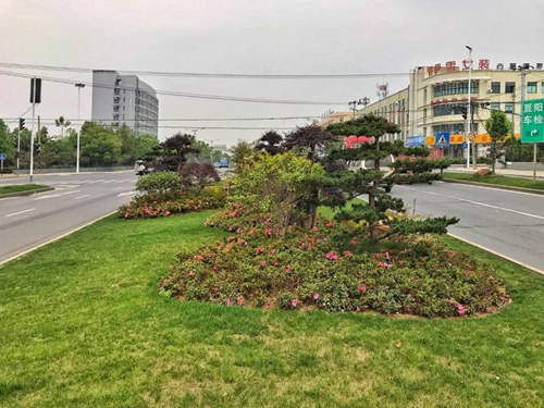 園冶杯專業獎：廬陽工業區天水路、凌湖路綠化施工