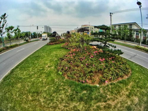 園冶杯專業獎：廬陽工業區天水路、凌湖路綠化施工