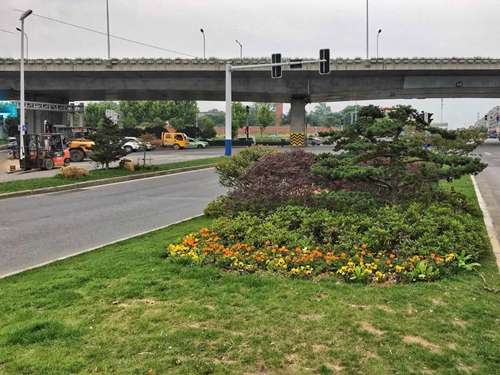 園冶杯專業獎：廬陽工業區天水路、凌湖路綠化施工