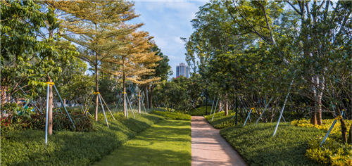園冶杯專業(yè)獎：海口魯能海藍公館