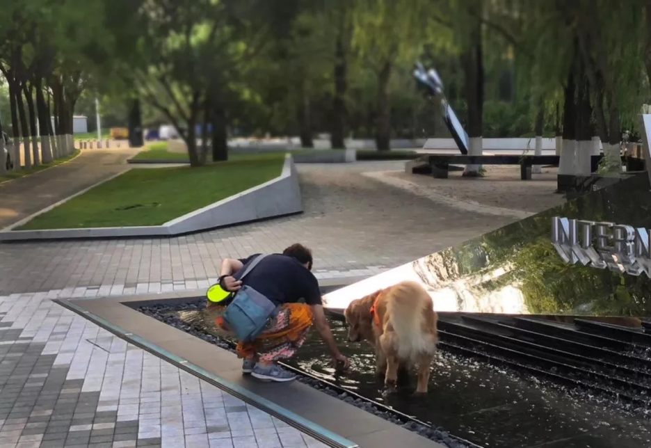 園冶杯專業獎:北京萬科翠湖國際項目示范區