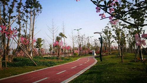 園冶杯專業獎：店忠路（新合馬路至環巢湖大道段）改建工程景觀設計