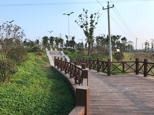 園冶杯專業獎：店忠路（新合馬路至環巢湖大道段）改建工程景觀設計