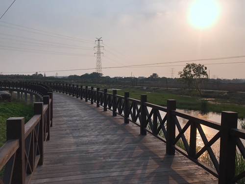 園冶杯專業獎：店忠路（新合馬路至環巢湖大道段）改建工程景觀設計