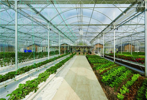 農(nóng)業(yè)主題景觀設(shè)計(jì):桐鄉(xiāng)合悅百翠莊園