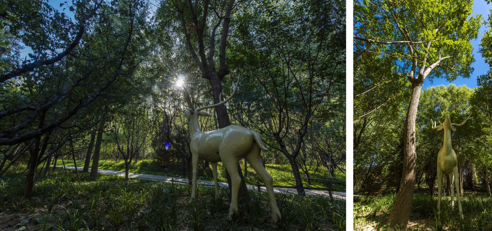 園冶杯專業(yè)獎(jiǎng)：北京格拉斯小鎮(zhèn)五期景觀