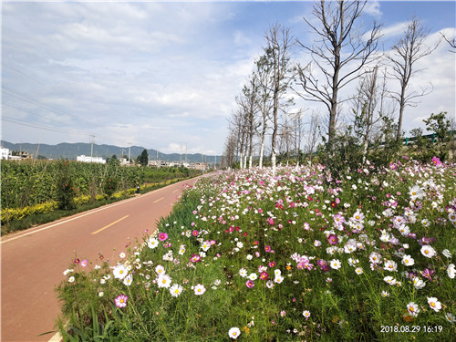 園冶杯專業獎:云南昭通大山包綠道工程項目