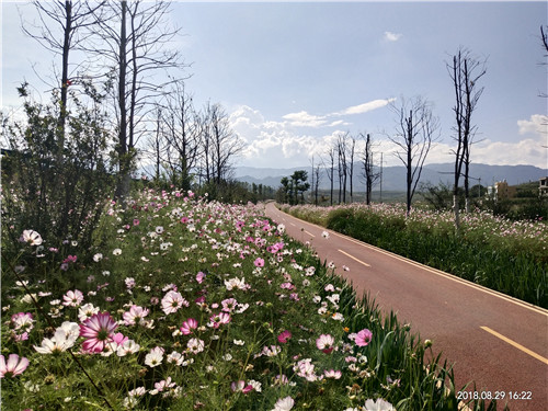園冶杯專業獎:云南昭通大山包綠道工程項目
