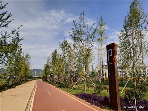 園冶杯專業獎:云南昭通大山包綠道工程項目